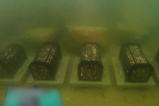 魚礁設置