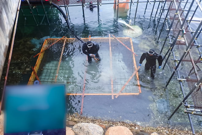 水中型枠